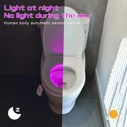 LooGlow – Smart Night Light for Bathroom